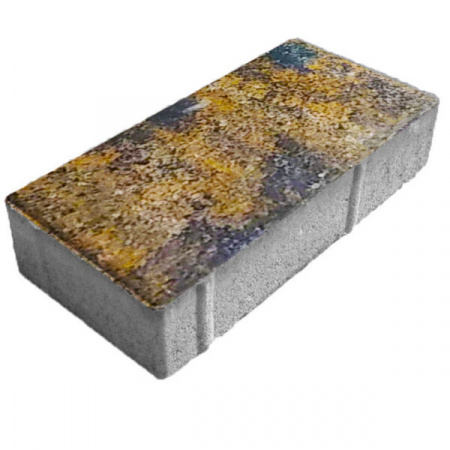 Брусчатка «Кирпич» 200x100x60 (2,6 кг.) колор микс